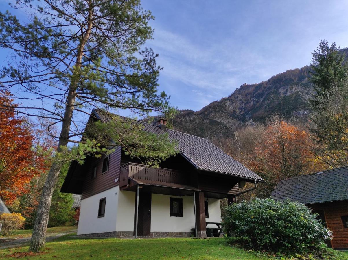Apartmaji Zupancic Bohinj ภายนอก รูปภาพ