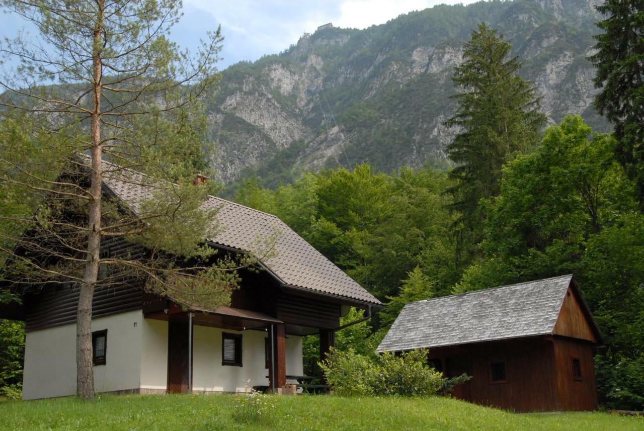 Apartmaji Zupancic Bohinj ภายนอก รูปภาพ