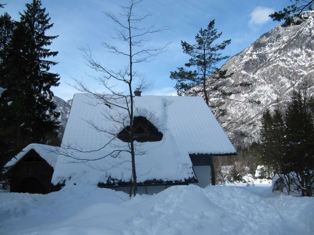 Apartmaji Zupancic Bohinj ภายนอก รูปภาพ